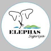ELEPHASE RESORT & SPA